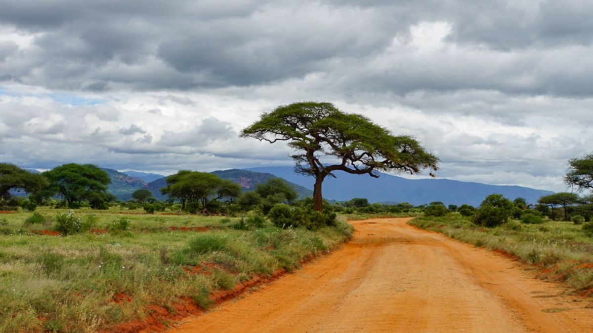 Weite Landschaft im Tsavo Nationalpark